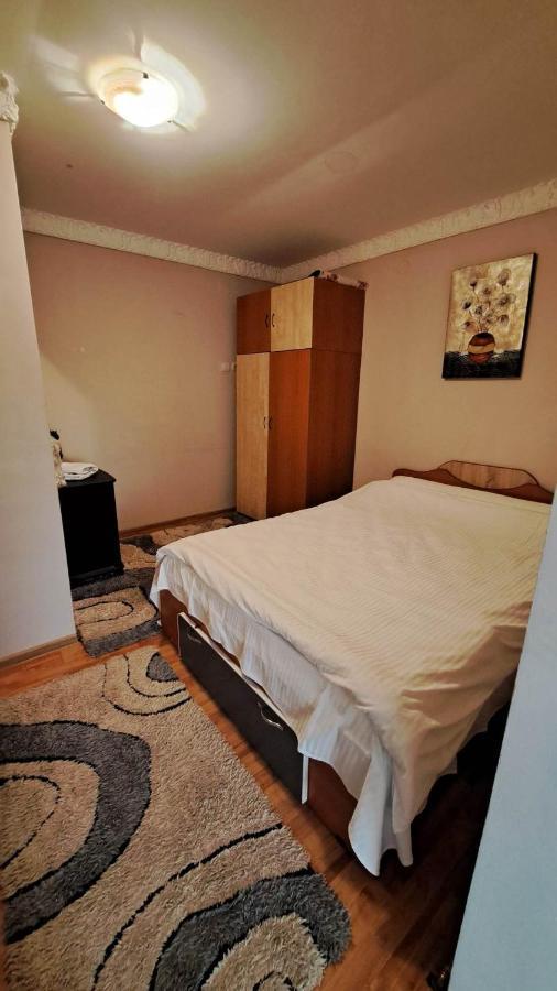 Pensiunea Burciu Salcioara  Exterior foto