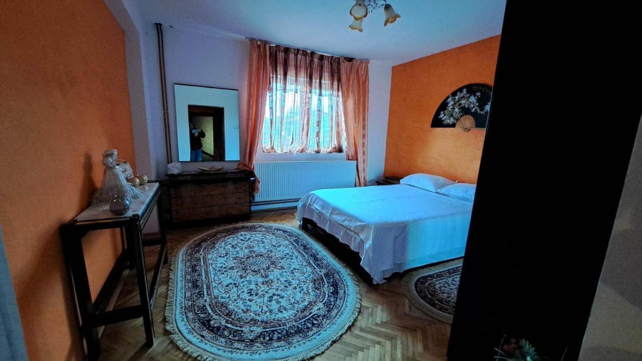 Pensiunea Burciu Salcioara  Exterior foto