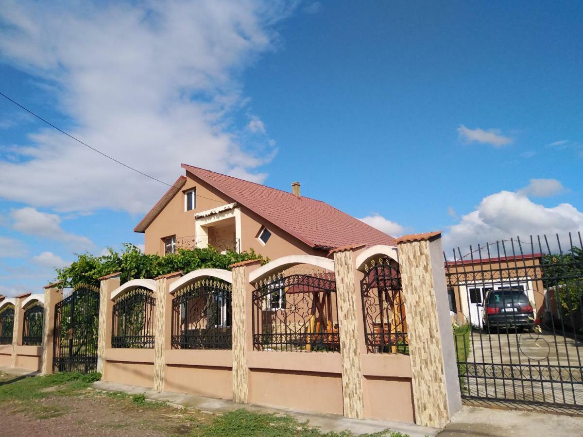 Pensiunea Burciu Salcioara  Exterior foto
